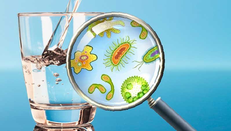 Những vi sinh vật ẩn chứa trong nguồn nước gây ra tác hại gì cho sức khỏe?